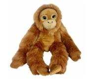 Opakowanie Orangutan big eyes 50cm