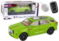 Opakowanie Osobówka zdalnie sterowana 1:24 zielona