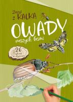 Owady naszych lasów. Zeszyt z kalką. Autor: Katarzyna Kopiec-Sekieta. SmakLiter.pl Okładka książki Owady naszych lasów. Zeszyt z kalką