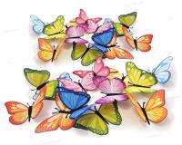 Opakowanie Ozdoby wiosenne Motyle 3D