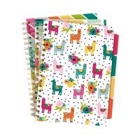 Paczka Kołozeszyt Pukka Pad B5 Project Book Colour Wash 3 szt mix. Wydawca: Pukka Pads. SmakLiter.pl Opakowanie Paczka Kołozeszyt Pukka Pad B5 Project Book Colour Wash 3 szt mix