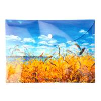 Opakowanie Paczka Teczka A5 kopertowa PP Niebo 5 szt.