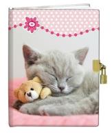 Opakowanie Pamiętnik z kłódką 13x18 Śpiący Kotek 60K gładki