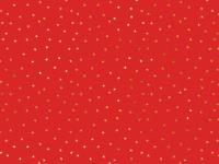 Opakowanie Papier do pakowania Gwiazdki 70x200cm