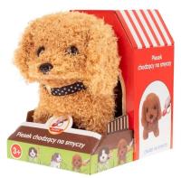 Piesek chodzący na smyczy. Wydawca: Smily Play. SmakLiter.pl Opakowanie Piesek chodzący na smyczy