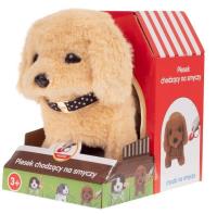 Opakowanie Piesek chodzący na smyczy