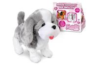 Opakowanie Piesek chodzący Natalia