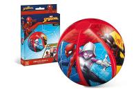Opakowanie Piłka plażowa Spiderman