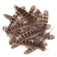 Pióra kacze 15-20cm 5g. Wydawca: Dalprint. SmakLiter.pl Opakowanie Pióra kacze 15-20cm 5g