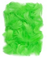 Opakowanie Piórka 5-12,10 g green