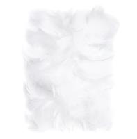 Opakowanie Piórka 5-12 cm 10g white