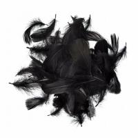 Opakowanie Piórka czarne 5-12cm 10g