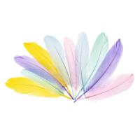 Piórka gęsie 15-20cm pastelowe. Wydawca: Brewis. SmakLiter.pl Opakowanie Piórka gęsie 15-20cm pastelowe