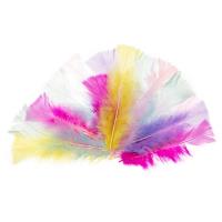 Piórka indycze ścięte pastelowe 10-15cm. Wydawca: Brewis. SmakLiter.pl Opakowanie Piórka indycze ścięte pastelowe 10-15cm