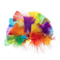 Piórka indycze trójkątne 5-10cm. Wydawca: Brewis. SmakLiter.pl Opakowanie Piórka indycze trójkątne 5-10cm