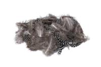 Opakowanie Piórka nakrapiane czarne 3g