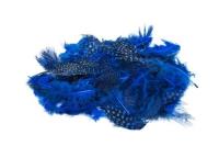 Opakowanie Piórka nakrapiane niebieskie 3g