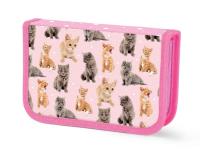 Opakowanie Piórnik 1P bez wyposażenia Kot 2-komorowy