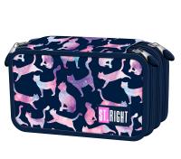 Opakowanie Piórnik potrójny z wyposażeniem PC5 COSMIC CATS