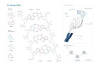 Plakat schemat budowy DNA. Wydawca: BIOMEDICA. SmakLiter.pl Opakowanie Plakat schemat budowy DNA