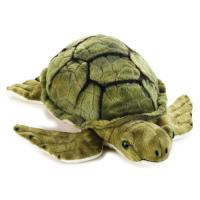 PLUSZ ŻÓŁW. Wydawca: National Geographic. SmakLiter.pl Opakowanie PLUSZ ŻÓŁW