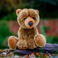 Opakowanie Pluszowy niedźwiedź Grizli