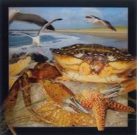 Opakowanie Pocztówka 3D - Krab