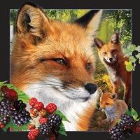 Opakowanie Pocztówka 3D - Lis