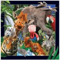 Opakowanie Pocztówka 3D mix wzorów