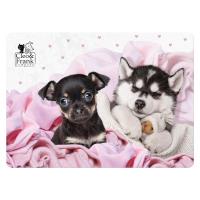 Opakowanie Podkładka laminowana Cleo i Frank 38 Pies DERFORM