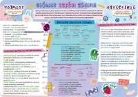 Opakowanie Podkładka na biurko - Części zdania