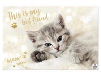 Opakowanie Podkładka na biurko MFP 60x40cm Kot