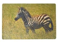 Podkładka na biurko piankowa zebra 60x40cm. Wydawca: ADAR. SmakLiter.pl Opakowanie Podkładka na biurko piankowa zebra 60x40cm