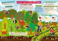 Opakowanie Podkładka na biurko - Sad i ogród warzywny