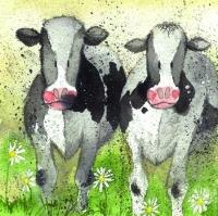 Opakowanie Podkładka pod kubek C34 Ciekawskie krowy