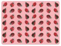 Opakowanie Podkładka pod talerz MT29 Biedronki