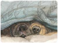 Opakowanie Podkładka pod talerz MT37 Noski psów