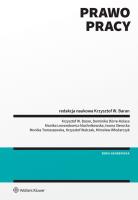 Prawo pracy. Autor: Iwona Sierocka, Włodarczyk Mirosław, Walczak Krzysztof, Monika Tomaszewska, Dörre-Kolasa Dominika, Lewandowicz-Machnikowska Monika, Krzysztof Baran. SmakLiter.pl Okładka książki Prawo pracy