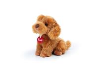 Pudel siedzący. Wydawca: Trudi. SmakLiter.pl Opakowanie Pudel siedzący