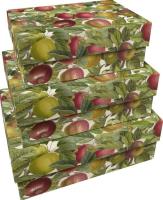 Opakowanie Pudełka ozdobne Jabłoń 3szt