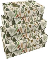 Opakowanie Pudełka ozdobne Paprocie 3szt