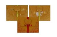 Opakowanie Pudełko na karty podarunkowe Kraft 3 szt.