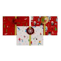 Opakowanie Pudełko na karty podarunkowe Narciarze 3 szt.