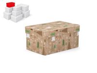 Opakowanie Pudełko na prezenty BN 18x11x9cm