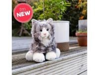 Opakowanie Puszysty Kot