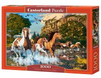 Puzzle 1000 el.  C-104789-2 Horse Wonderland. Wydawca: Castorland. SmakLiter.pl Opakowanie Puzzle 1000 el.  C-104789-2 Horse Wonderland