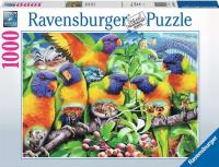 Opakowanie Puzzle 1000 Kraina Lorikeet