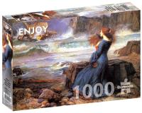 Opakowanie Puzzle 1000 Miranda/Burza, John William Waterhouse