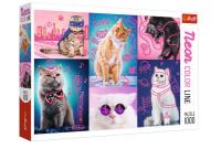 Opakowanie Puzzle 1000 Neon Color Line - Super cats TREFL