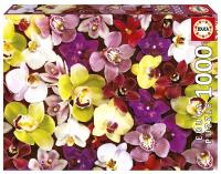 Puzzle 1000 Storczyki. Wydawca: Educa. SmakLiter.pl Opakowanie Puzzle 1000 Storczyki